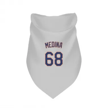 Gray New York Mets Adonis Medina   Dog & Cat Pet Bandana