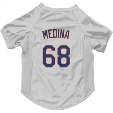 Gray New York Mets Adonis Medina   Dog & Cat Pet Jersey