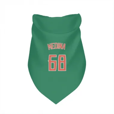 Green New York Mets Adonis Medina   Dog & Cat Pet Bandana